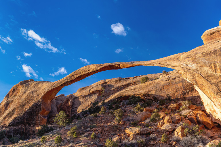Arche du paysage