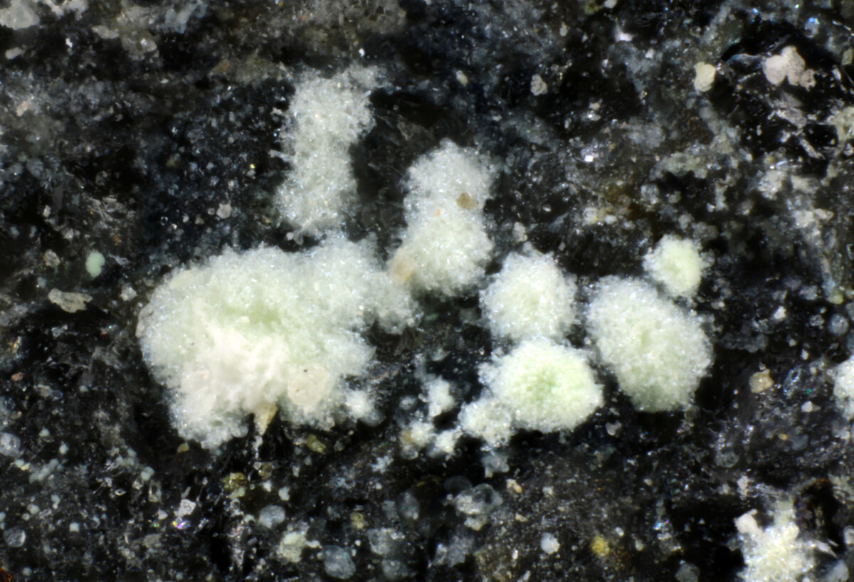 Abellaite