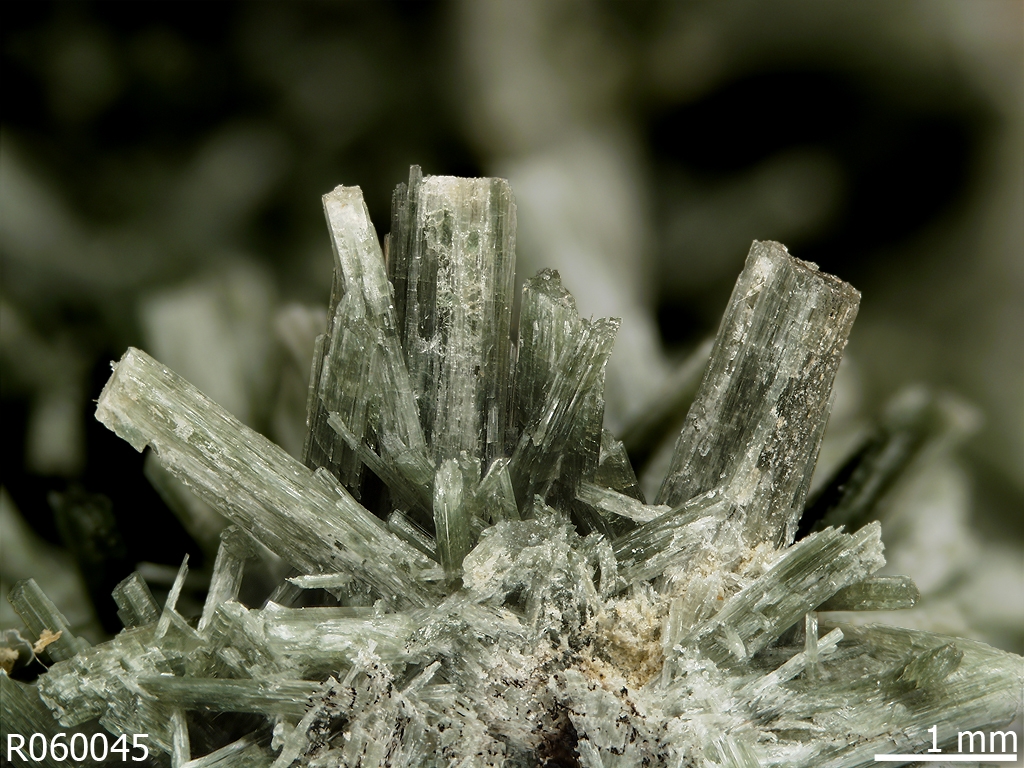 Actinolite