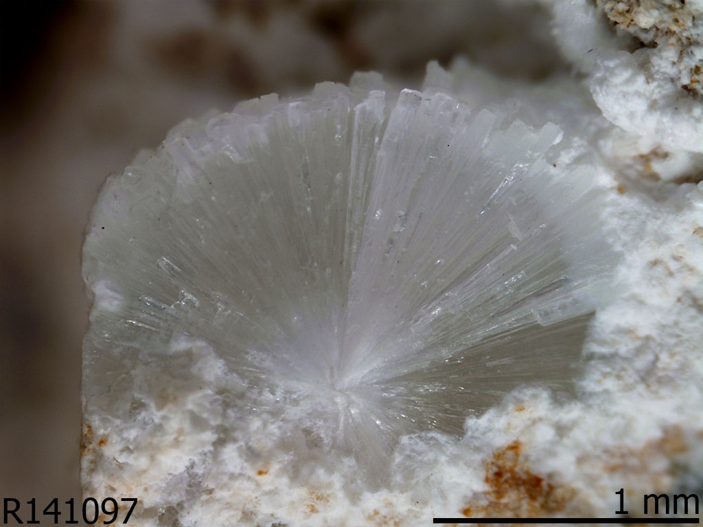 Afwillite