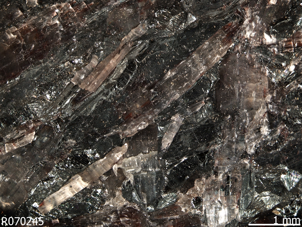 Anthophyllite