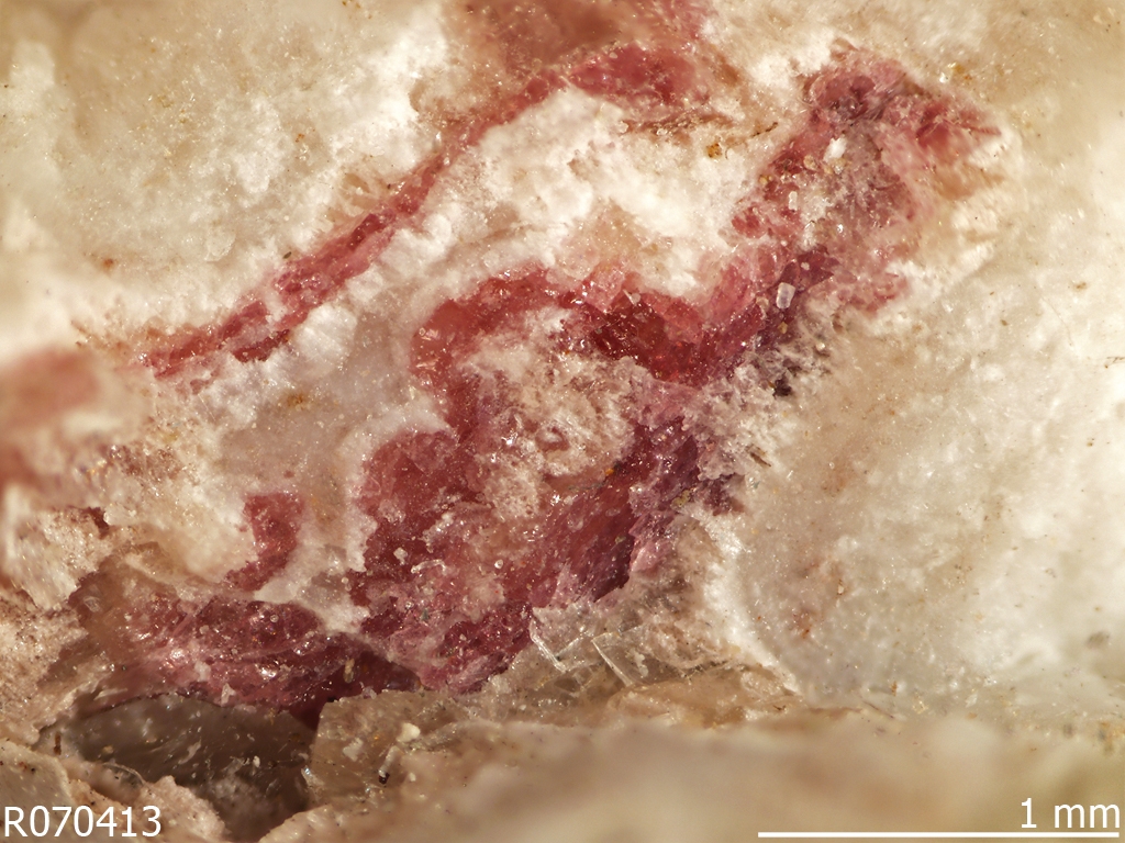 Aqualite