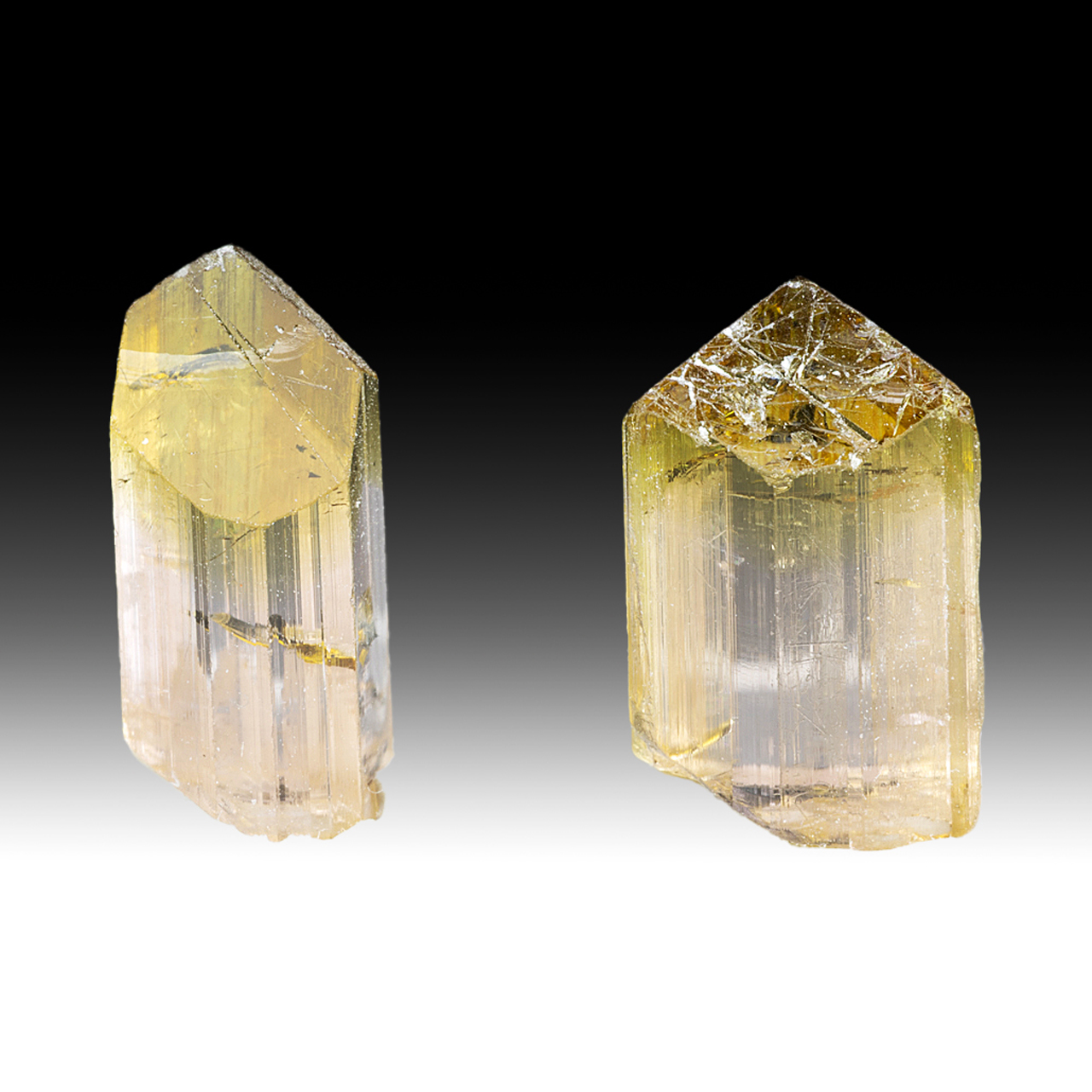 Elbaite canary