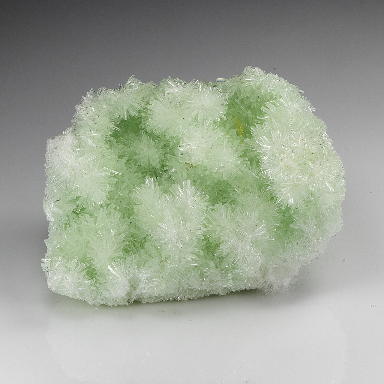 Gypsum