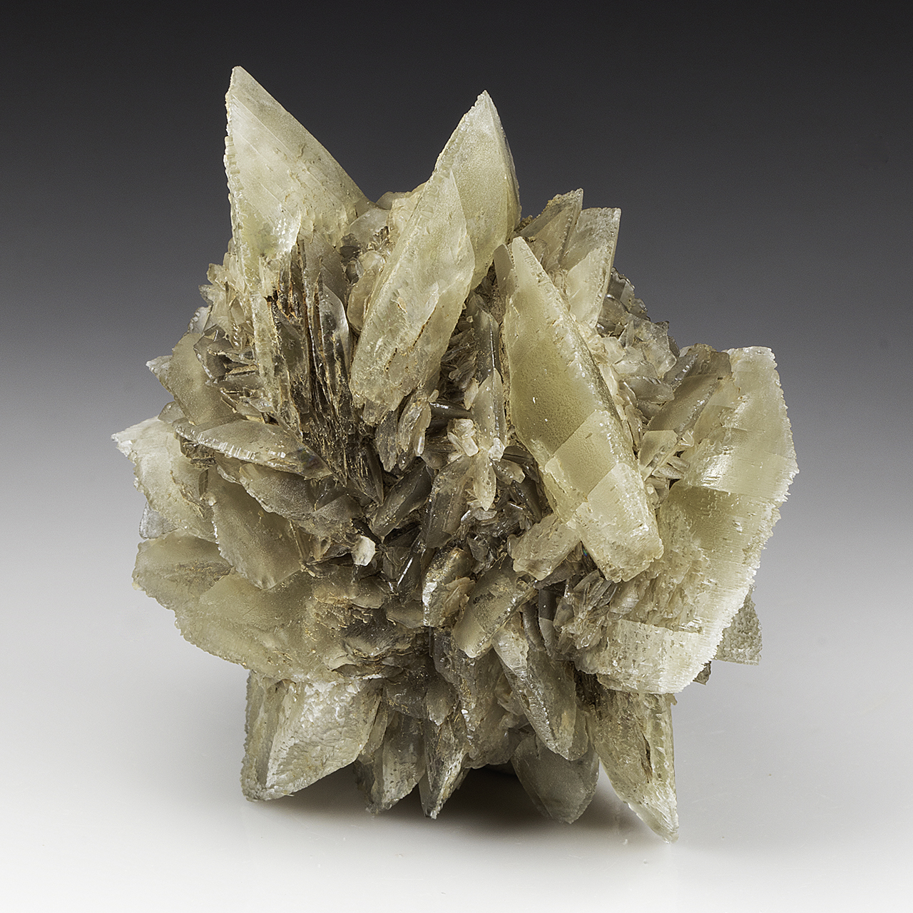 Gypsum