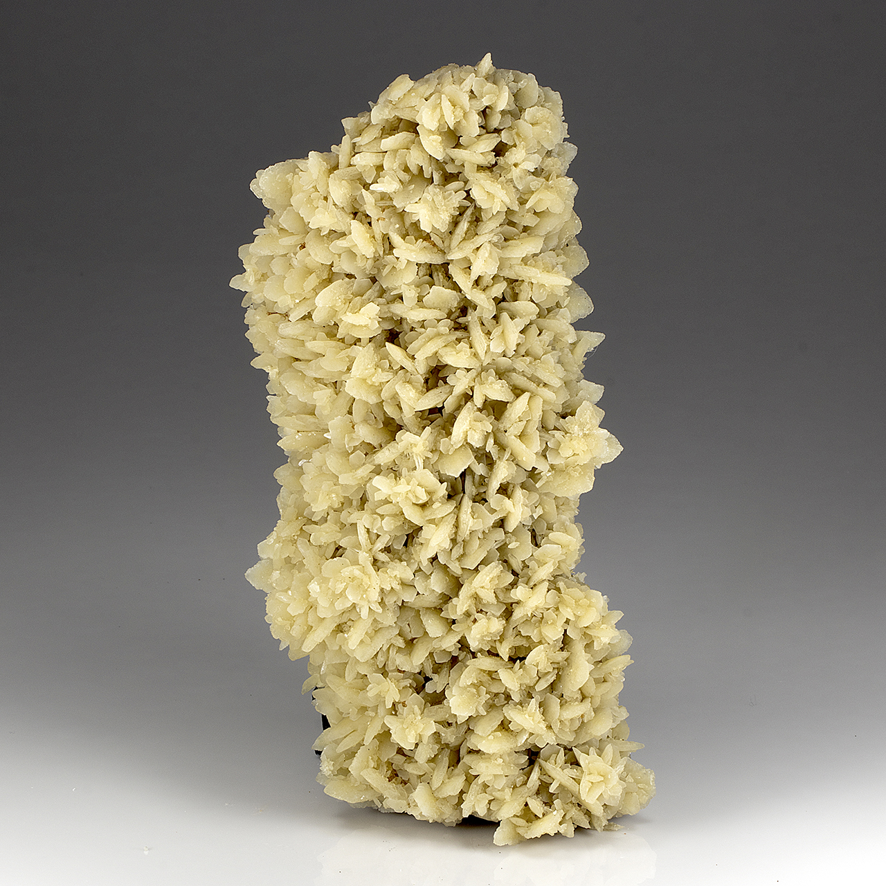 Gypsum
