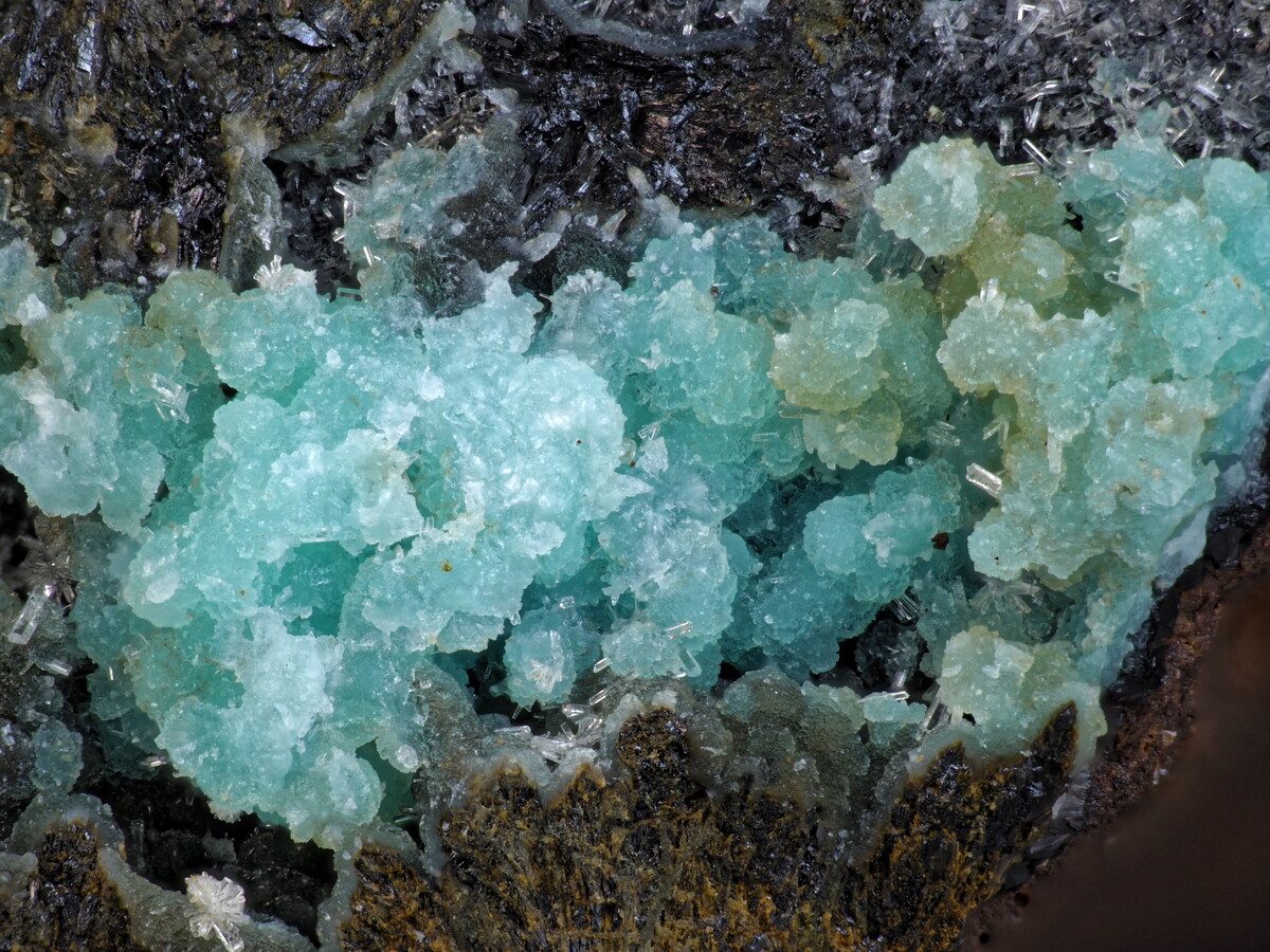 Turquoise